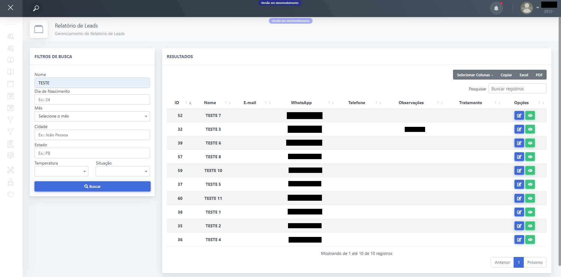 Relatório de Leads do LeadSS